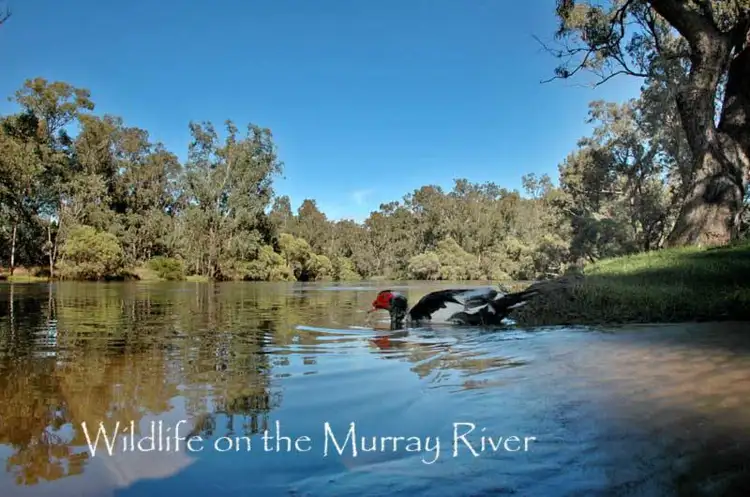 Lot 840 Lukin Loop, Pinjarra WA 6208