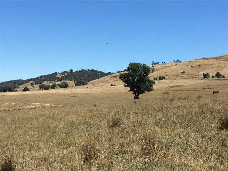 Second view of Homely rural property listing, lot 8222 Yaven Creek Road, Adelong NSW 2729