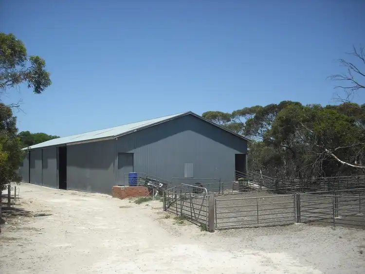 Sixth view of Homely rural property listing, 678 Butler Road, Coonalpyn SA 5265