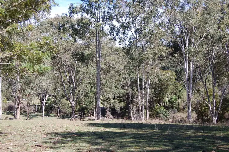 Third view of Homely rural property listing, 1221 Paddys Flat Road, Tabulam NSW 2469