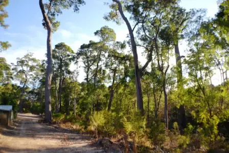 18 (Lot 80) Holly Place, Cowaramup WA 6284