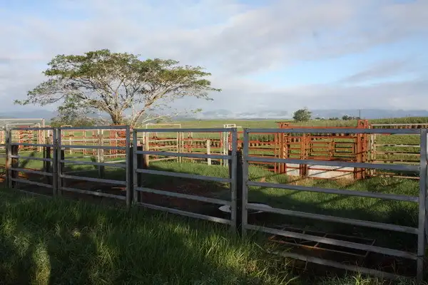 Fifth view of Homely rural property listing, Address available on request