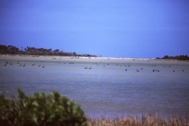 Main view of Homely land listing, . Lime Pit Road, Flinders Island TAS 7255