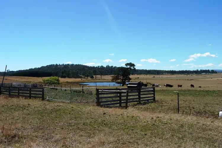 Third view of Homely rural property listing, 567 Cluan Road, Cluan TAS 7303
