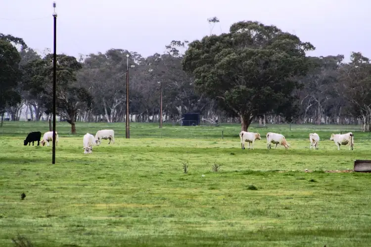 Seventh view of Homely rural property listing, 2097 Lucindale Road, Naracoorte SA 5271