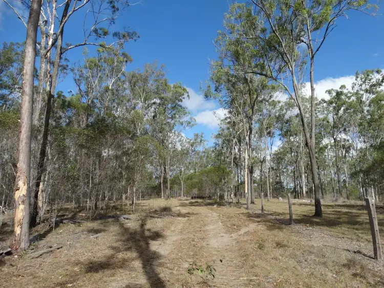 Sixth view of Homely rural property listing, Lot 101 Mollenhagens Road, Rosedale QLD 4674