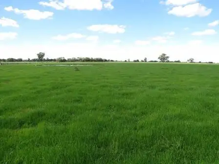 Sixth view of Homely rural property listing, "Wongalea" Moonee Swamp Road, Deniliquin NSW 2710