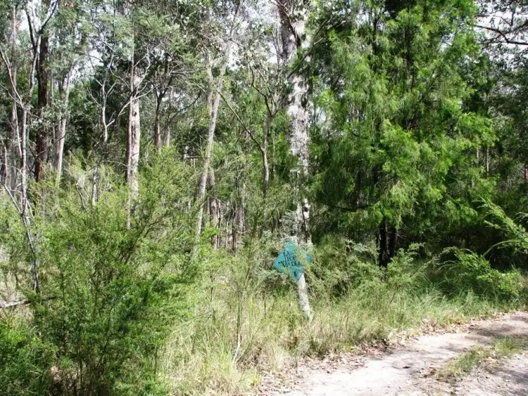 Second view of Homely rural property listing, 4661 Princes Highway, Orbost VIC 3888