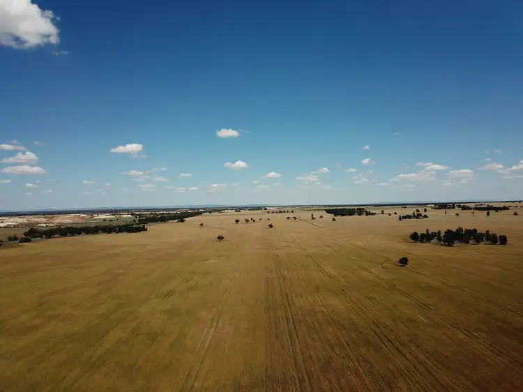 Sixth view of Homely rural property listing, - 'Kolkibertoo', West Wyalong NSW 2671