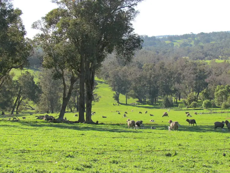 Third view of Homely rural property listing, Lot 733 Winnejup Road, Mayanup WA 6244