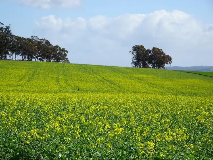 "Koobadong West", Noble Rd, Wagin WA 6315
