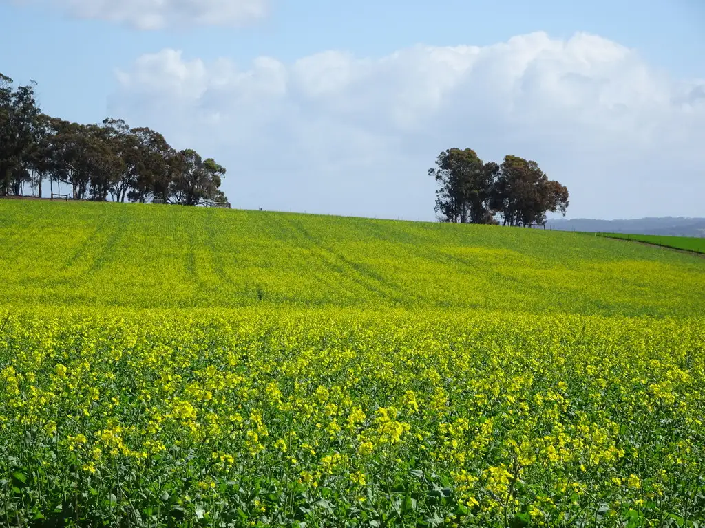 Main view of Homely rural property listing, "Koobadong West", Noble Rd, Wagin WA 6315