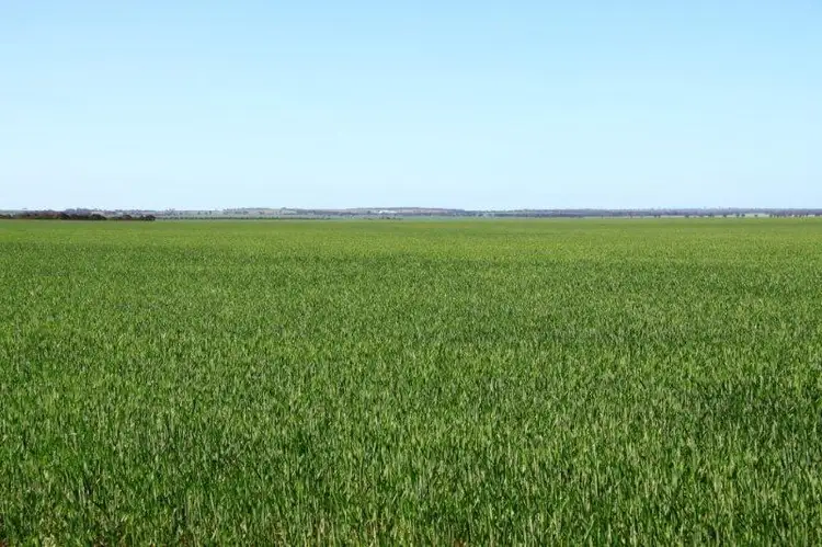 Main view of Homely rural property listing, Lots "Aprelia Farms", Marvel Loch WA 6426