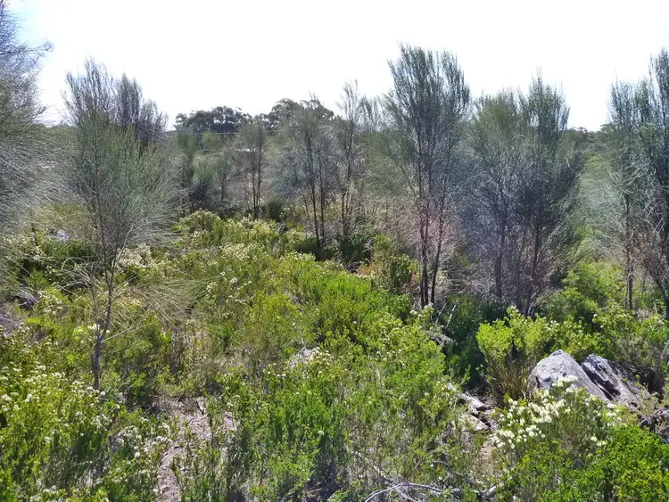 Sixth view of Homely land listing, 25 Pars Road, Greens Beach TAS 7270