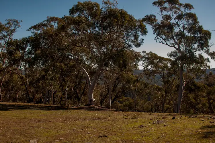 Seventh view of Homely rural property listing, 705 Bannaby Road, Bannaby NSW 2580