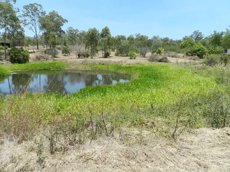 Sixth view of Homely house listing, 47 Mount Larcom-Bracewell Rd, Mount Larcom QLD 4695