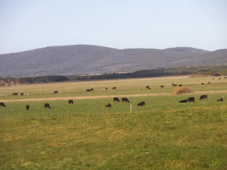 Seventh view of Homely rural property listing, 1398 Lady Barron Road, Ranga, Flinders Island TAS 7255