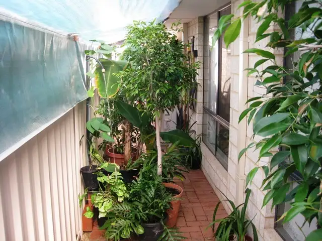 Second view of Homely villa listing, Unit 2/28 Forrest Street, Pinjarra WA 6208