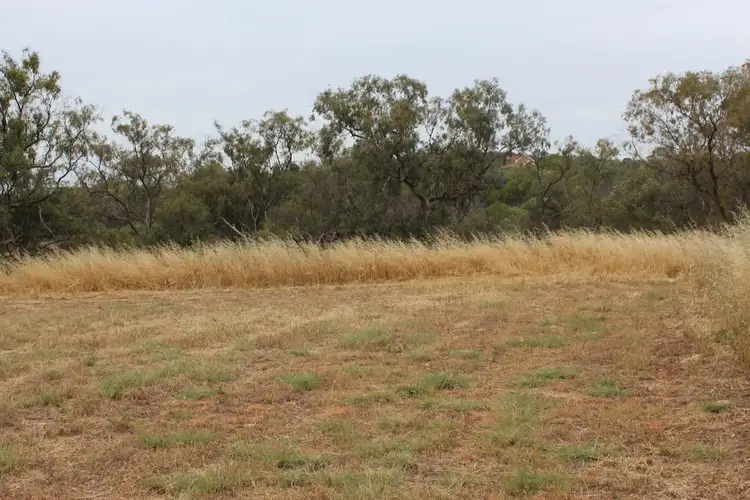 Sixth view of Homely land listing, 1 Eastough Street, Nanson WA 6532