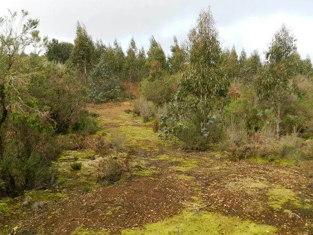 Sixth view of Homely rural property listing, Lot 1 Waratah Road, Waratah TAS 7321