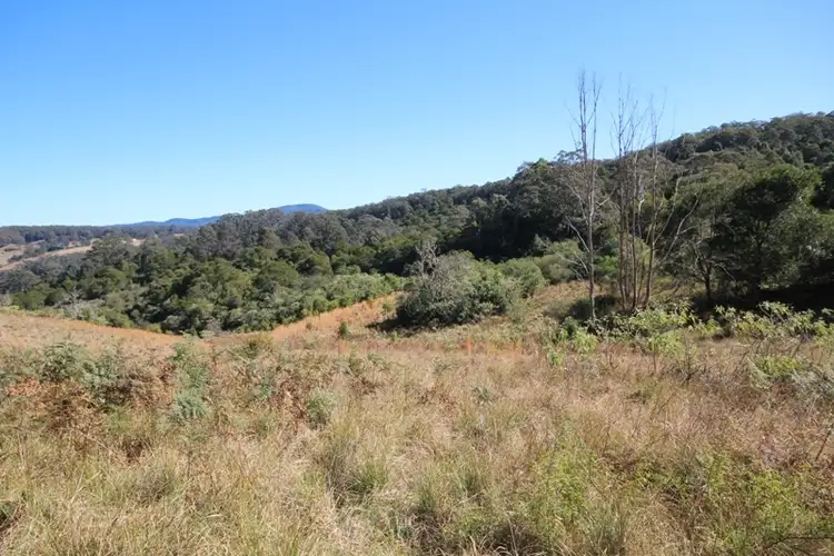 Sixth view of Homely rural property listing, 723 Glenwarrin Road, Elands NSW 2429