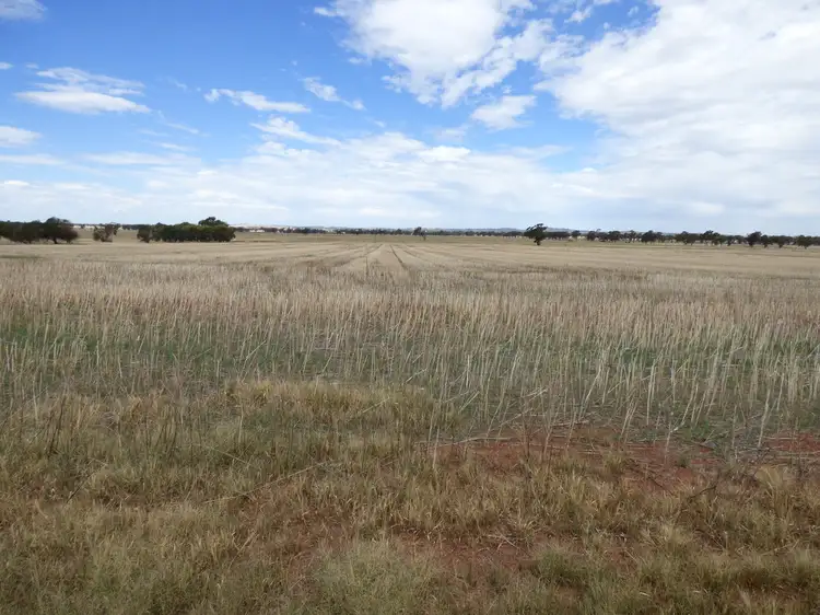 Sixth view of Homely rural property listing, 1075 Weedallion, Bribbaree NSW 2594