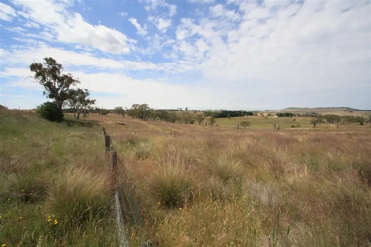 Second view of Homely rural property listing, 5403 Monaro Highway, Nimmitabel NSW 2631