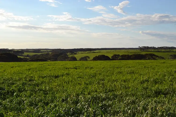 Fifth view of Homely rural property listing, Lot 112 Moffatt Rd, Penneshaw SA 5222