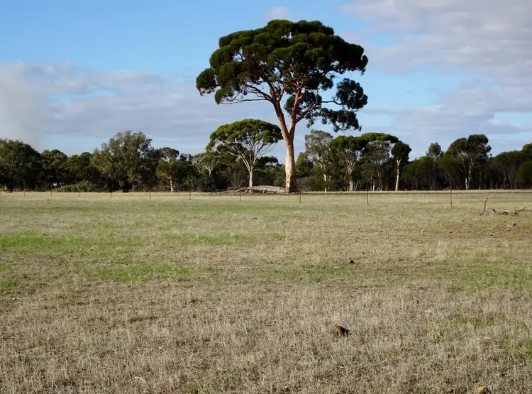 Third view of Homely rural property listing, 170 Bunmulling Rd, Popanyinning WA 6309