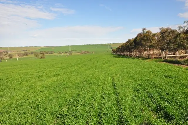 685 Sutherlands Creek Road, Anakie VIC 3213