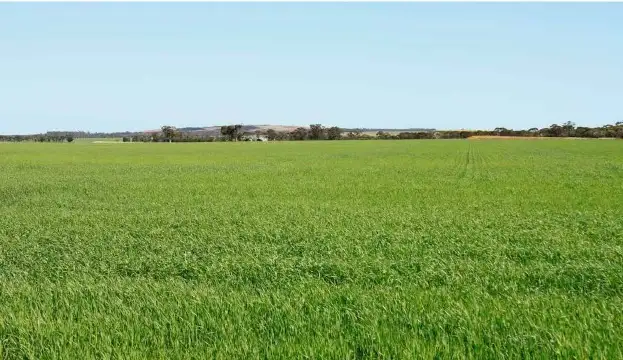 Main view of Homely rural property listing, Address available on request