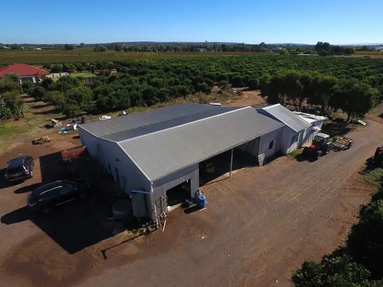 Sixth view of Homely rural property listing, Farm 79 Murray Road, Yoogali NSW 2680