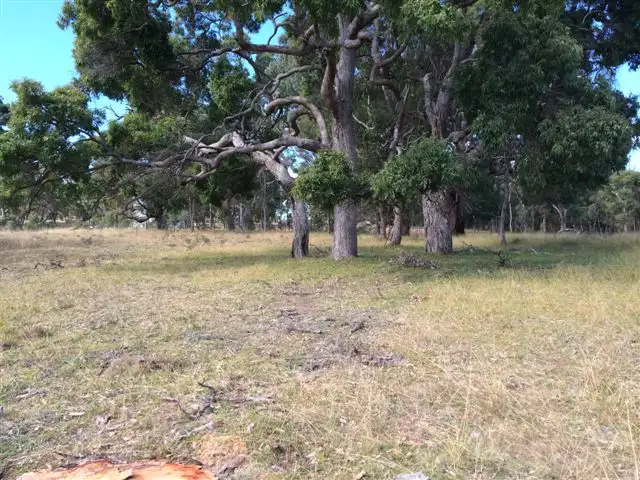 Sixth view of Homely land listing, 73 Rock Abbey Road, Uralla NSW 2358