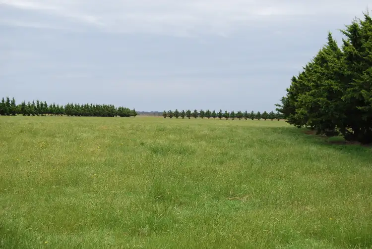Third view of Homely rural property listing, 00 Clebyarra Road, Goon Nure VIC 3875