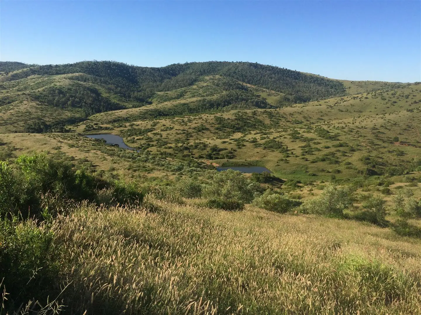 Main view of Homely rural property listing, . Lenz Road, Duaringa QLD 4712