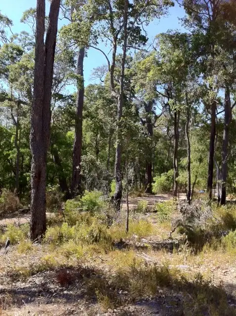 Second view of Homely land listing, 14 (Lot 78) Holly Place, Cowaramup WA 6284