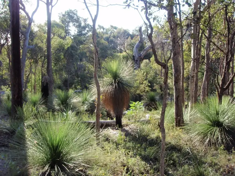Main view of Homely land listing, 54 Sylvan Rest, Quindalup WA 6281