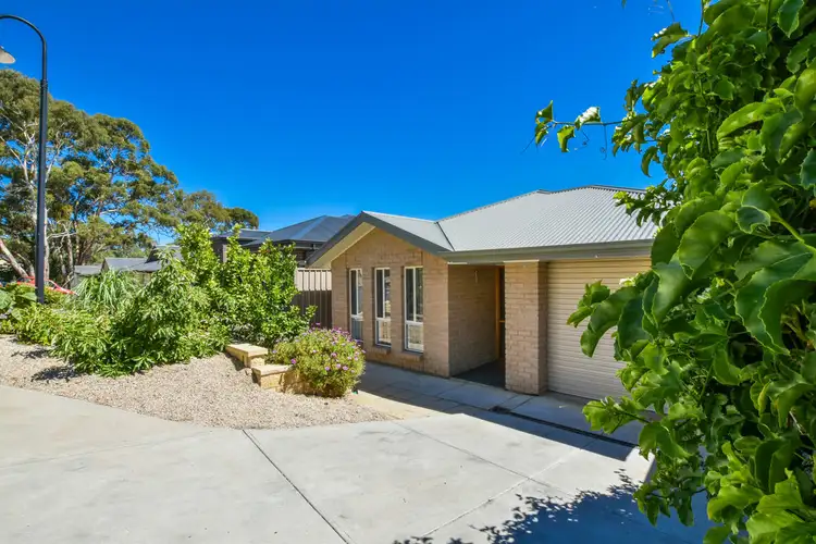 11 Maplewood Court, Flagstaff Hill SA 5159