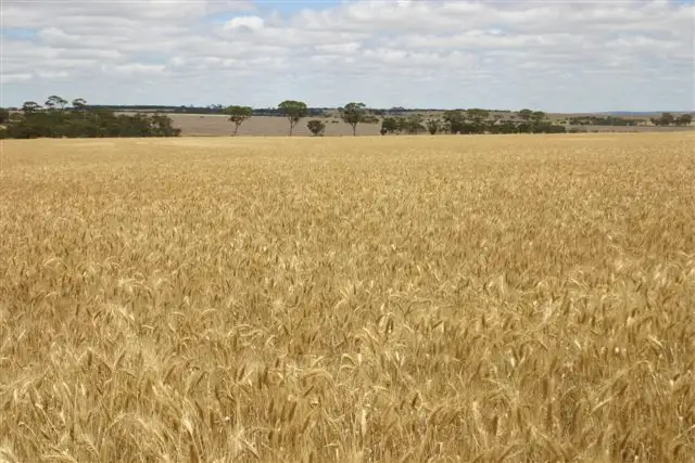 Fourth view of Homely rural property listing, Address available on request