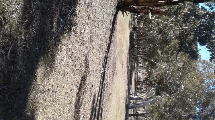 Seventh view of Homely land listing, 37 Peninsula Rd, Anglers Reach NSW 2629