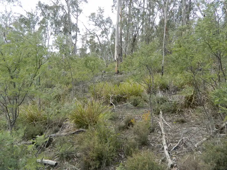 Seventh view of Homely land listing, 0 Bluff Road, Elderslie TAS 7030
