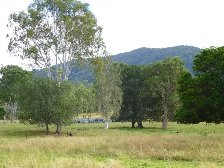 Fifth view of Homely rural property listing, 292 Forestry Road, Colosseum QLD 4677