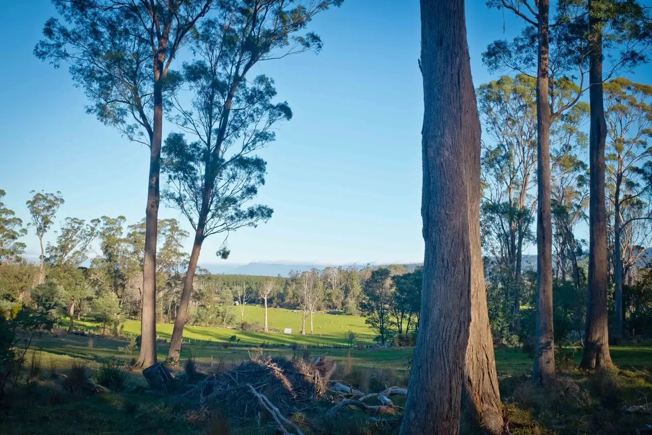 Main view of Homely rural property listing, 762 Adelphi Road, Whitemore TAS 7303
