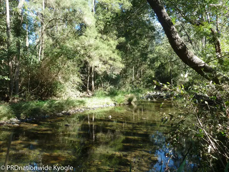 Second view of Homely rural property listing, 279 Sawpit Creek road, Kyogle NSW 2474