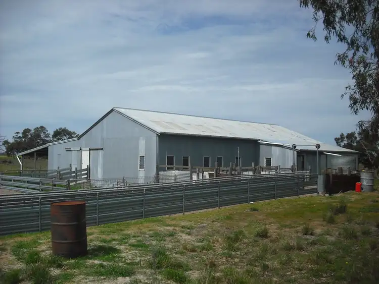 Sixth view of Homely rural property listing, 470 Hundred Line Road, Keith SA 5267