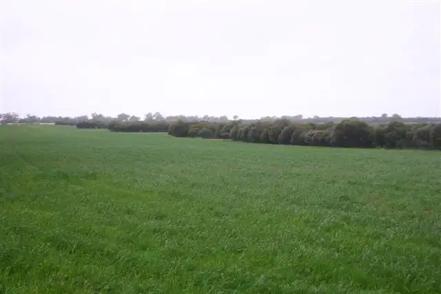 Fifth view of Homely rural property listing, Address available on request