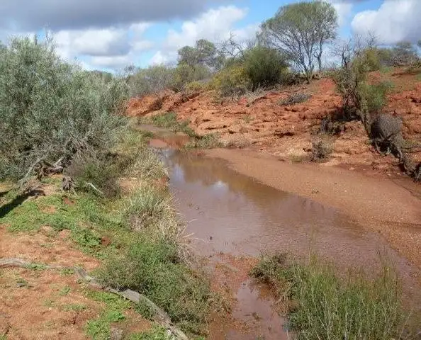 Seventh view of Homely rural property listing, Address available on request