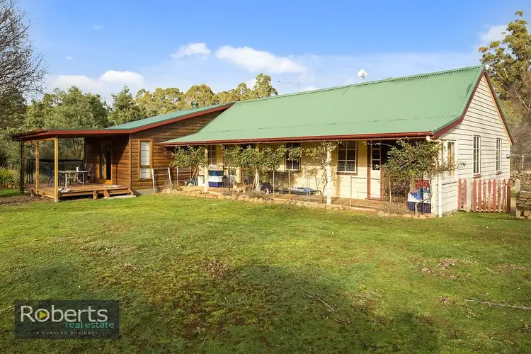Main view of Homely house listing, 290 Wadleys Road, Reedy Marsh TAS 7304