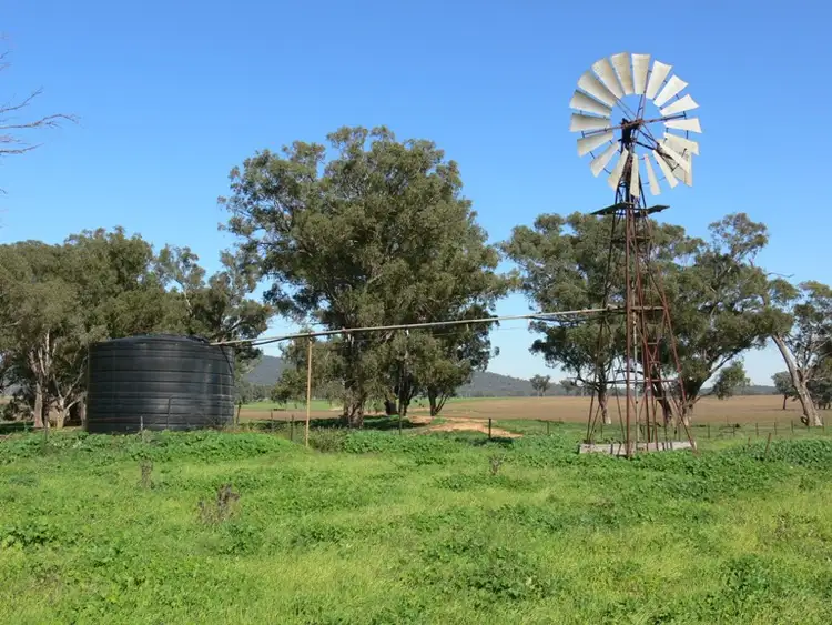Fifth view of Homely rural property listing, 228 Cannons Rd, Gooloogong, Cowra NSW 2794