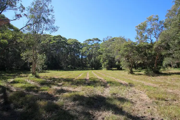 Fourth view of Homely rural property listing, 56 Coomba Road, Charlotte Bay NSW 2428